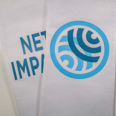 Net Impact Global Program
